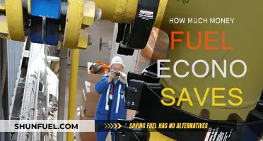 Fuel Economy: Save Money, Save the Planet