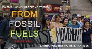 Billions Withdrawn: Fossil Fuel Divestment Reaches New Heights