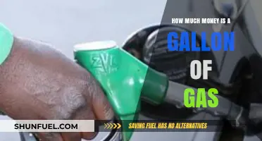 The Cost of a Gallon of Gas: How Much?