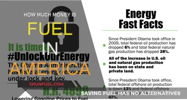 Fuel Costs: America's Expensive Addiction