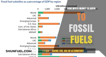 Revealing the Staggering Global Subsidies for Fossil Fuels Annually