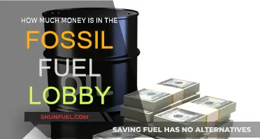 The Fossil Fuel Lobby: A Multibillion-Dollar Industry Influence
