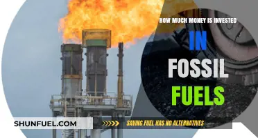 Trillions Invested in Fossil Fuels: Who's Funding Climate Change?