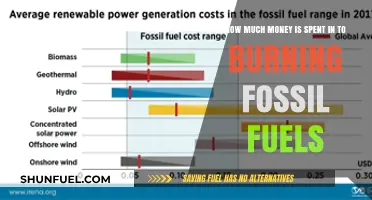 The Hidden Costs of Fossil Fuels: A Financial Breakdown
