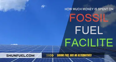 Billions Wasted on Fossil Fuel Facilities: A Global Concern