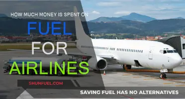 Airlines' Fuel Expenses: A Costly Affair