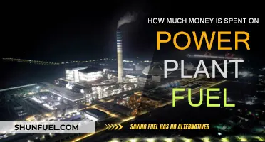 The Cost of Power: Fuel Spending in Power Plants