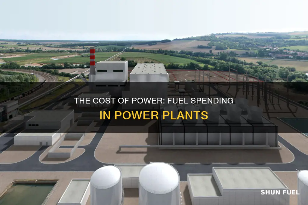 how much money is spent on power plant fuel
