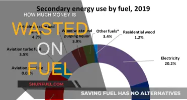 Fuel Waste: Billions Lost to Inefficiency