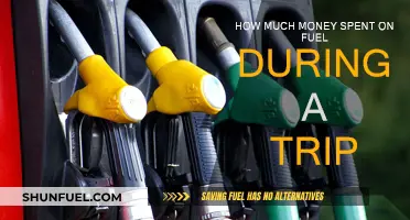 Fuel Expenses: Tracking Your Trip's Cost