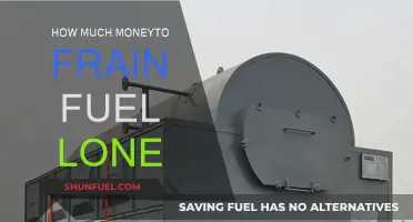 Training Fuel: Cost-Effective Strategies for Success
