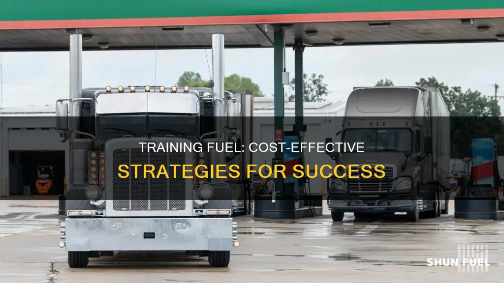 how much moneyto frain fuel lone