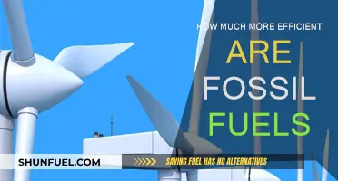 Fossil Fuels: Efficient Energy or Environmental Disaster?