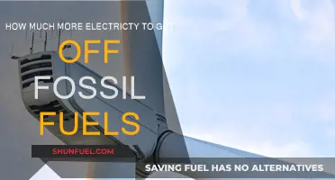 The Green Energy Transition: How Much Electricity is Needed?