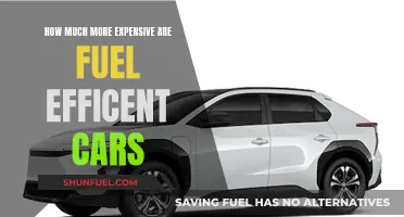 Fuel-Efficient Cars: Worth the Extra Cost?