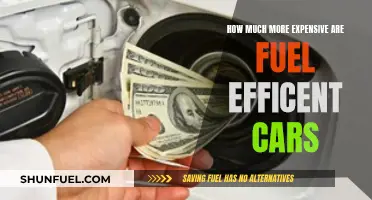 Fuel-Efficient Cars: Worth the Extra Cost?