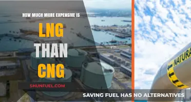 Comparing Costs: LNG vs CNG - Which Gas Comes at a Premium?
