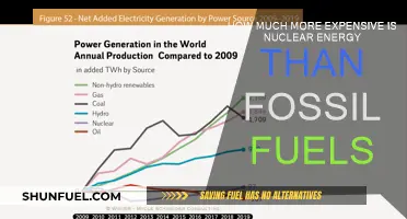 The High Cost of Nuclear Energy vs Fossil Fuels