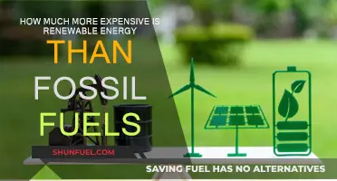 Renewable Energy: Costlier Than Fossil Fuels?