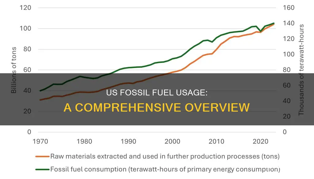 how much more fossil fuel does the us use