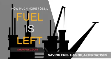 The World's Remaining Fossil Fuel Reserves