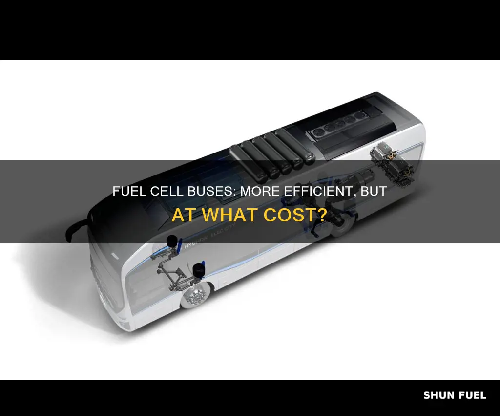 how much more fuel cell bus