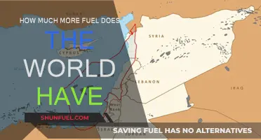 The World's Fuel Supply: How Long Will It Last?