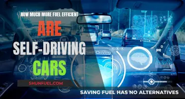 Self-Driving Cars: Cutting Fuel Costs