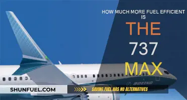 New 737 MAX: Fuel Efficiency Champions