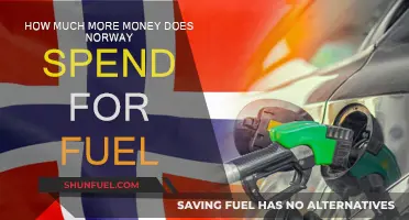 Norway's Fuel Spending: A Costly Affair