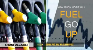 Rising Fuel Prices: How High Will They Go?