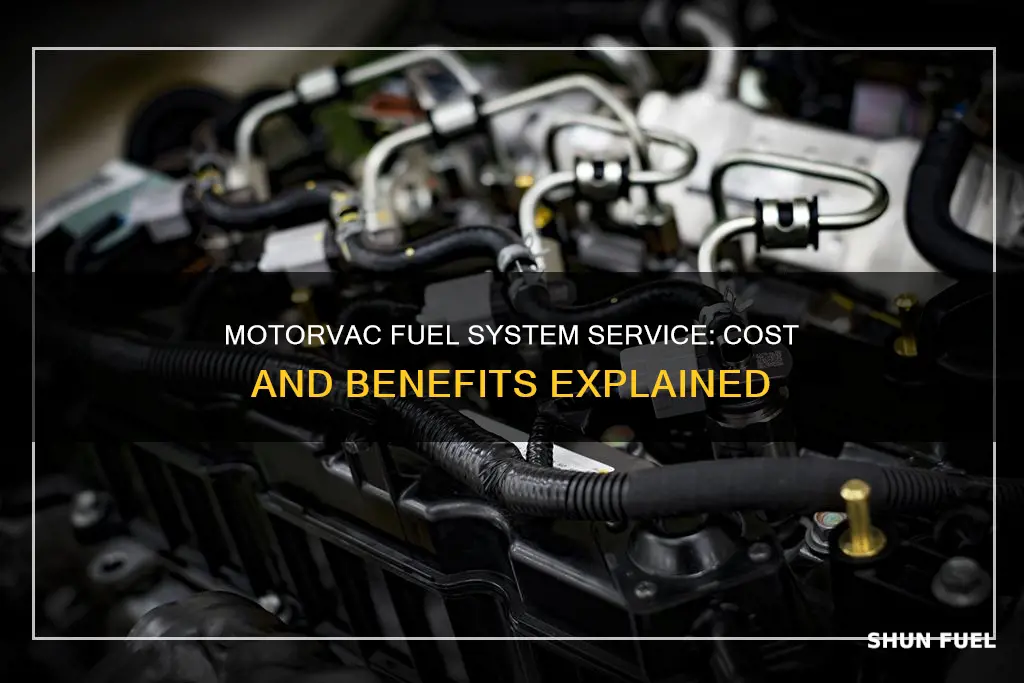 how much motorvac fuel system service