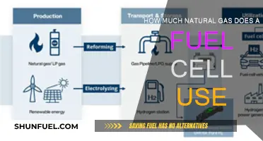 Fuel Cells: Efficient Natural Gas Usage Explained