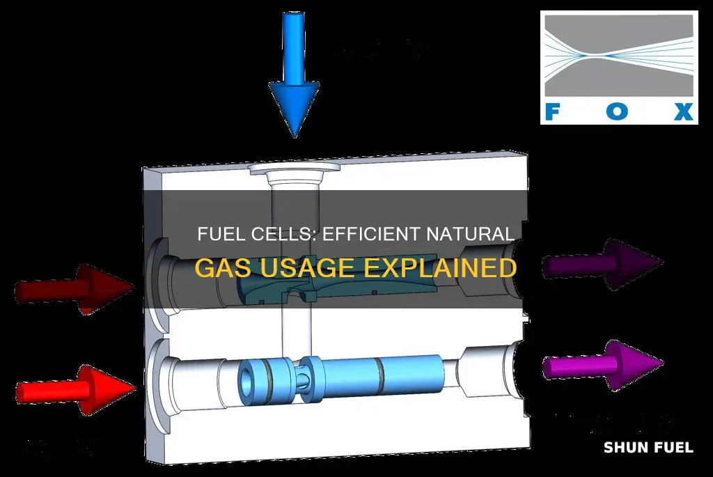 how much natural gas does a fuel cell use