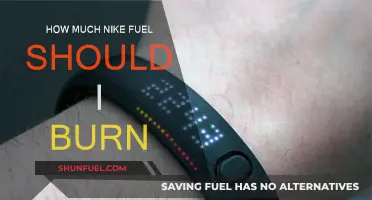 Burning Nike Fuel: How Much is Enough?