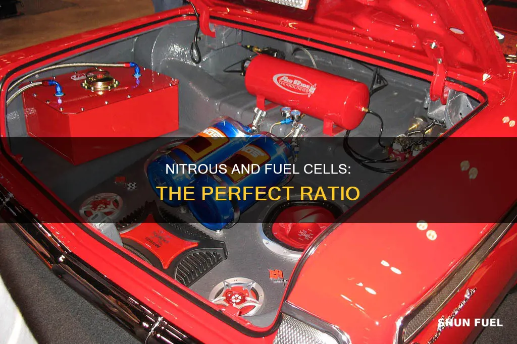 how much nitrous for 1 gallon fuel cell
