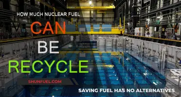 Recycling Nuclear Fuel: How Much Can Be Reused?
