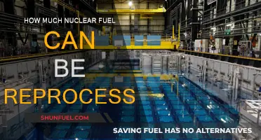 Reprocessing Nuclear Fuel: How Much Can Be Recycled?