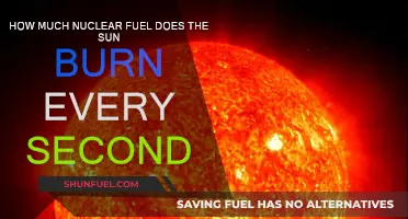 The Sun's Nuclear Furnace: Burning Brightly