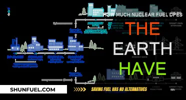 The Earth's Nuclear Fuel Supply: How Much is Available?
