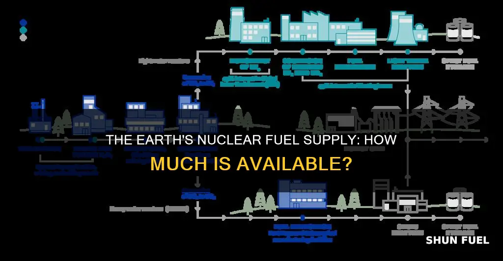 how much nuclear fuel dpes the earth have