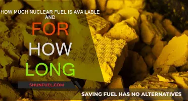 Nuclear Fuel Availability: Supply and Lifespan Explored