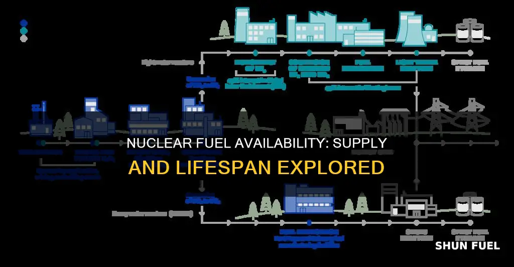how much nuclear fuel is available and for how long