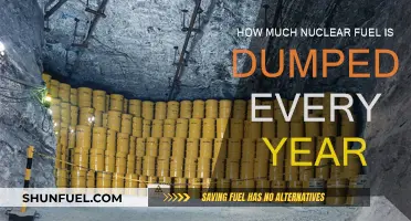 The World's Annual Nuclear Waste: A Sobering Reality