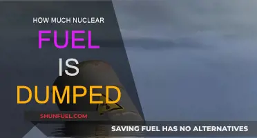 Nuclear Fuel Dumping: A Global Concern