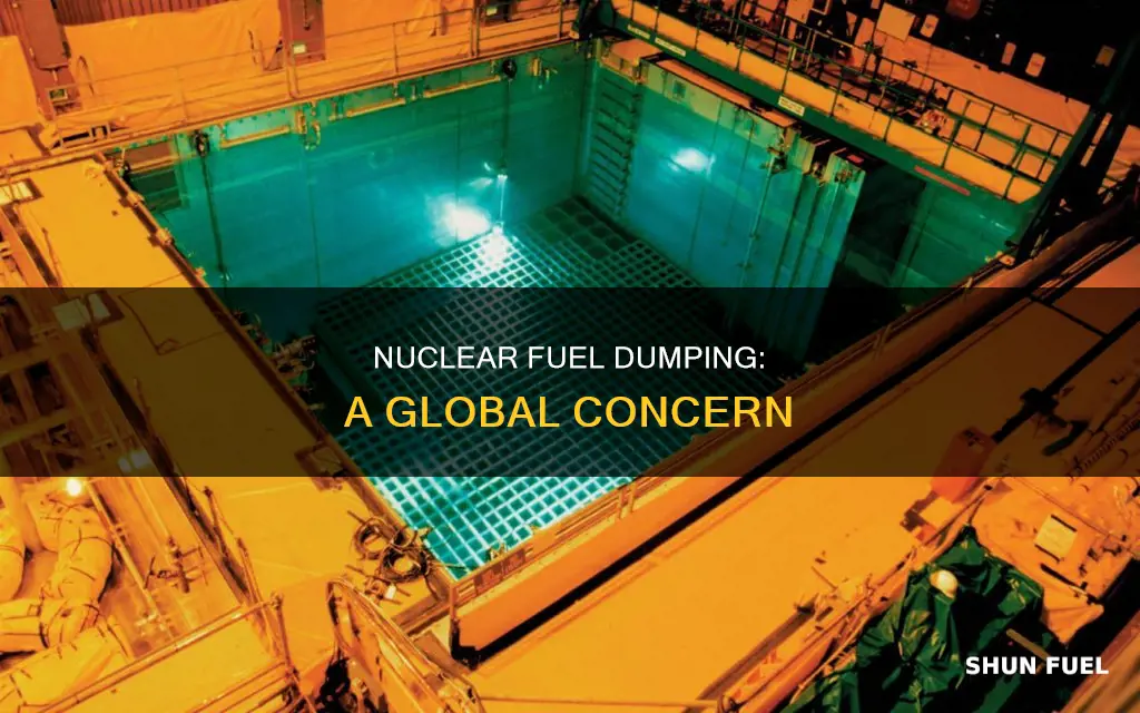 how much nuclear fuel is dumped