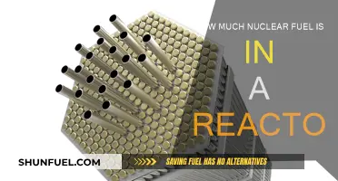 Nuclear Fuel Reactors: How Much Fuel is Inside?