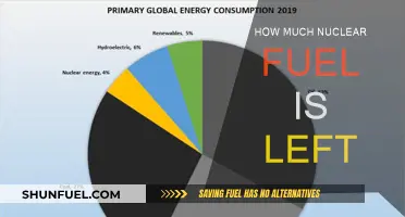 The World's Remaining Nuclear Fuel Supply