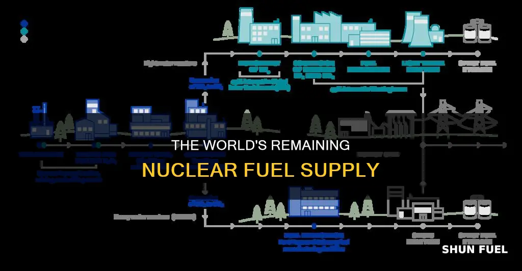how much nuclear fuel is left