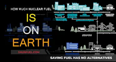 The Earth's Nuclear Fuel Supply: How Much is Available?